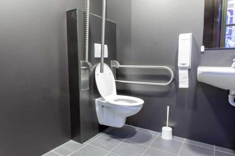 Toilet Grab Bars Installation